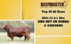 Sires - Emmons Beefmasters